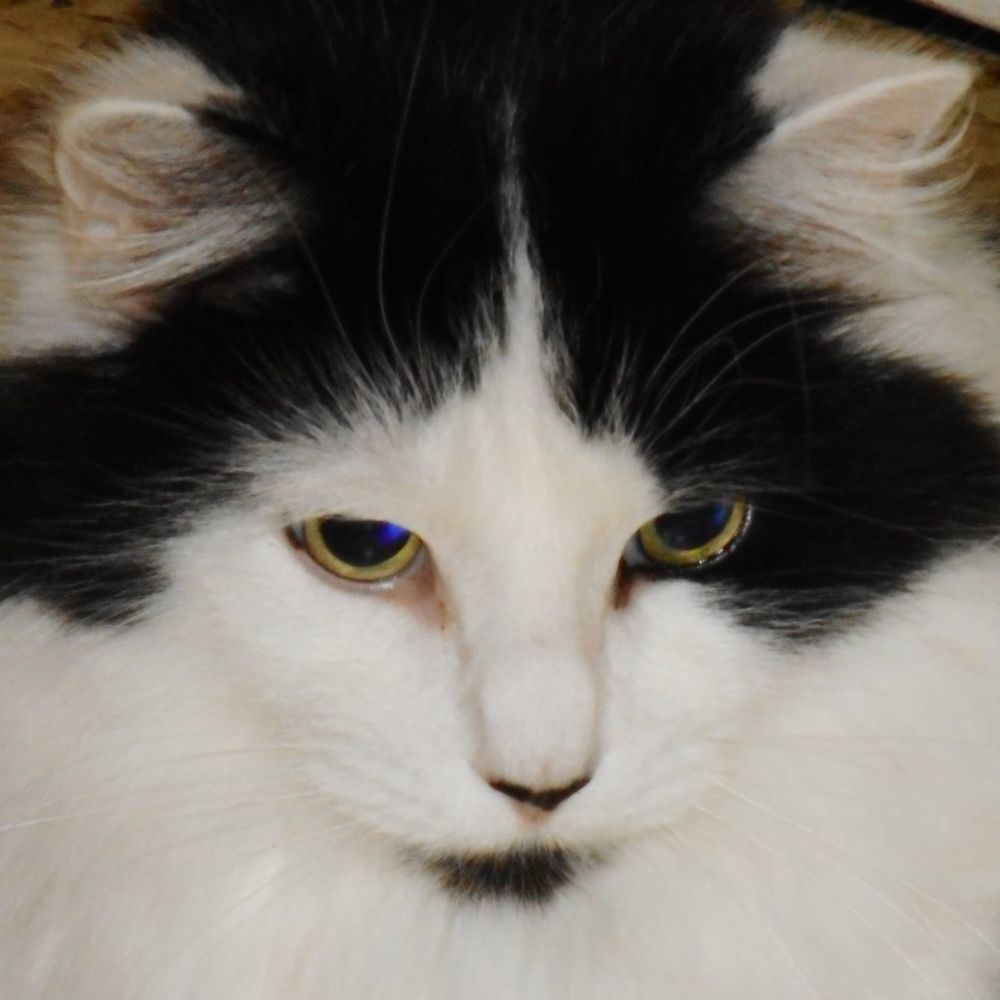 Meet your Posher, Janet